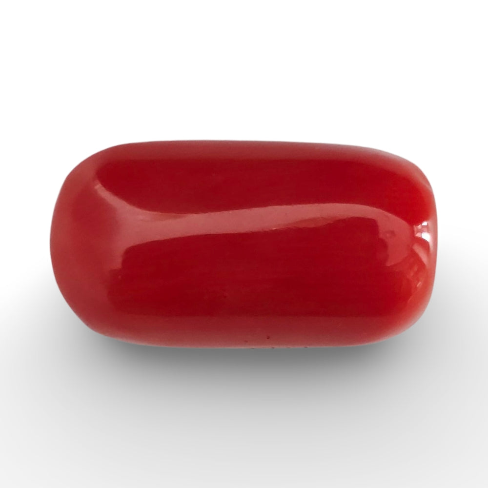 Italian Red Coral 14.50 carat