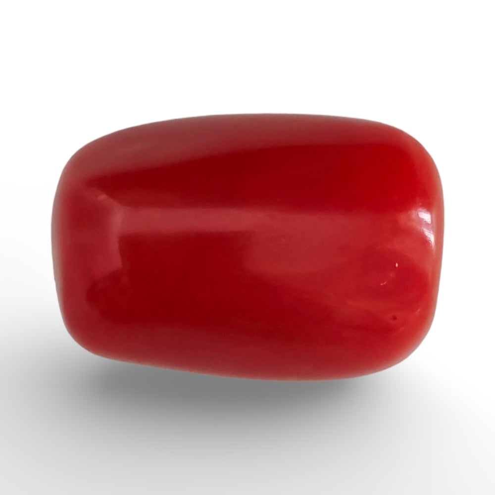 Italian Red Coral 17.15