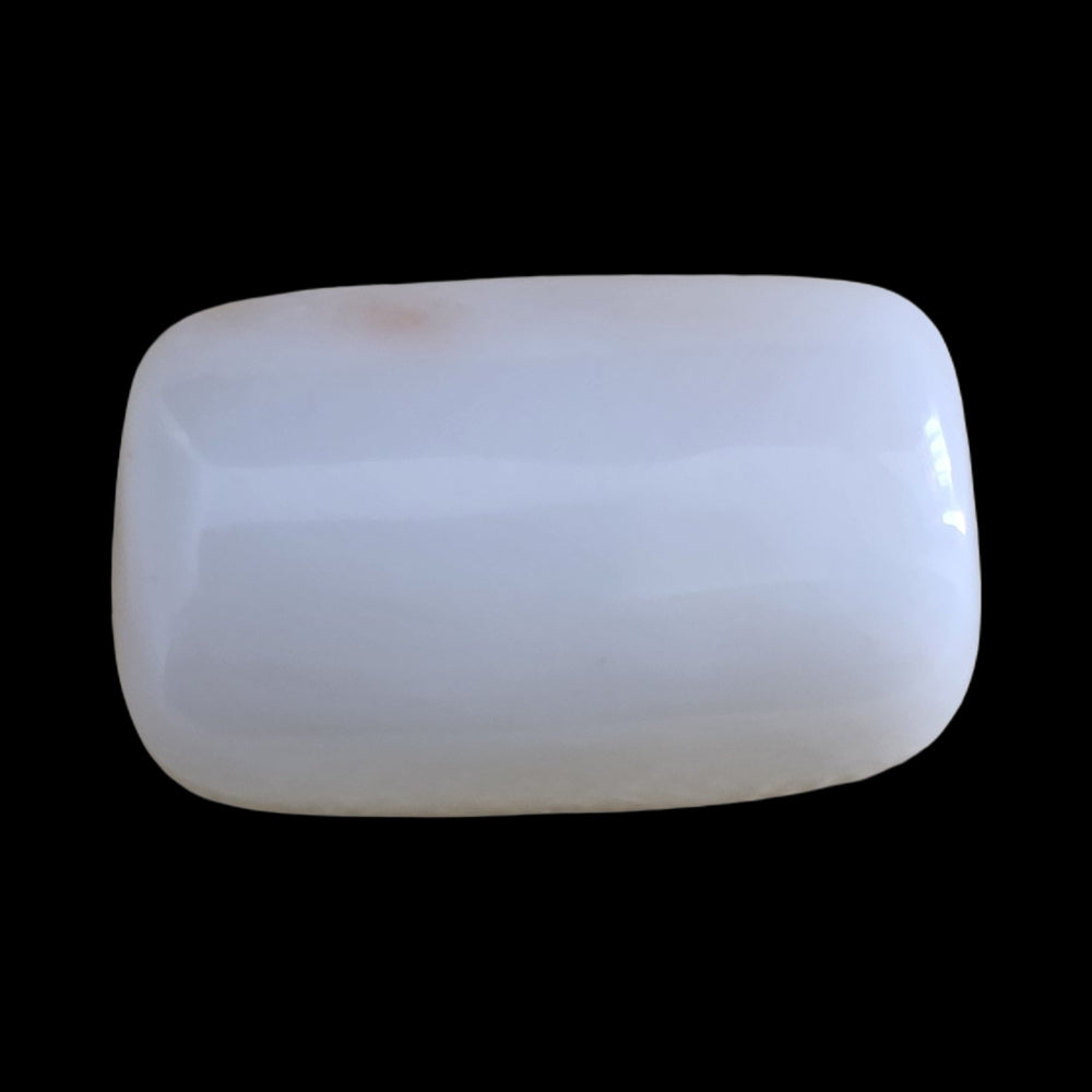 White Coral 17.00 carat