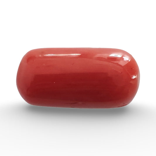 Italian Red Coral 14.55 carat