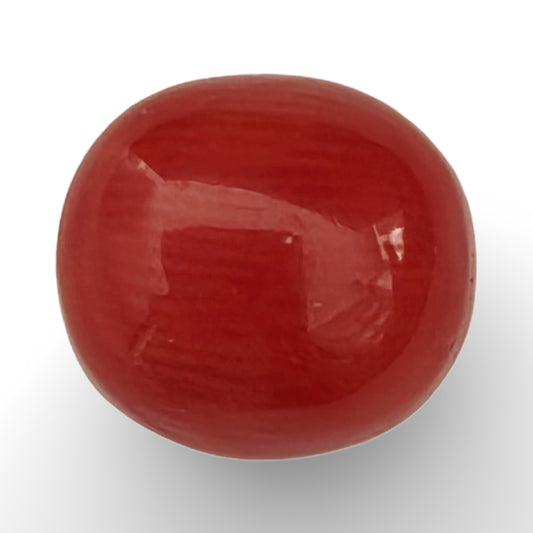 Italian Red Coral 3.10 carat