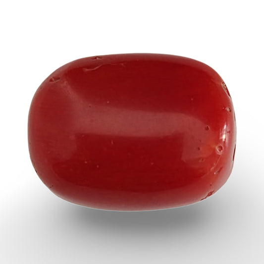Italian Red Coral 14.40 carat