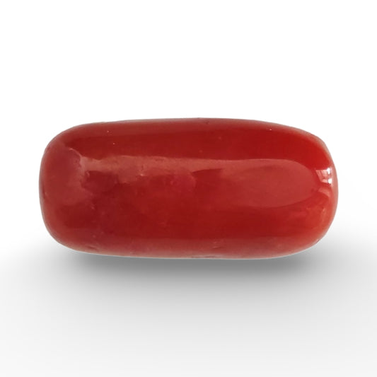 Italian Red Coral 9.95 carat