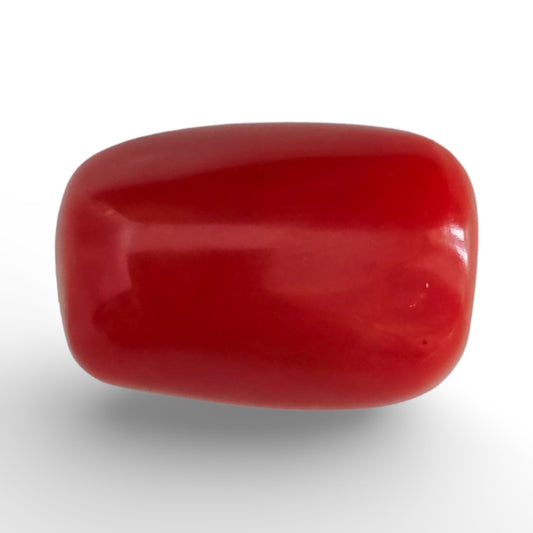 Italian Red Coral 17.15