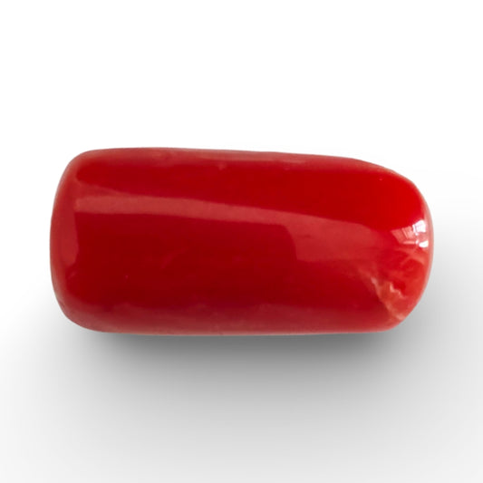 Italian Red Coral 7.00 carat