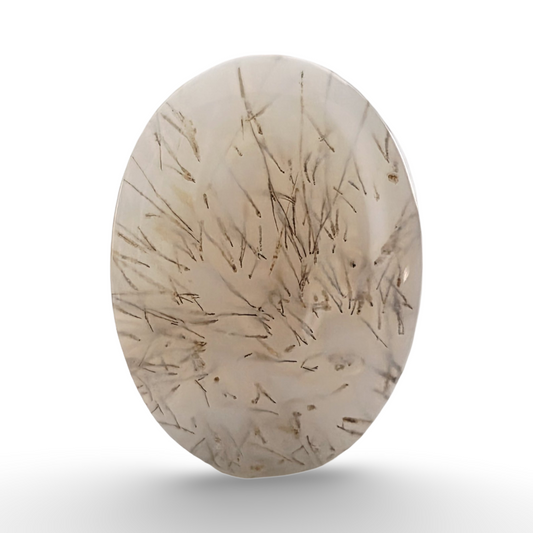 عقيق الشجري يماني

 Shajri Yemeni Aqeeq 5.25 gram