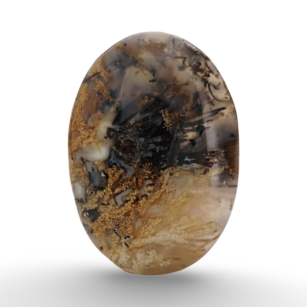 عقيق الشجري يماني

 Shajri Yemeni Aqeeq 4.41 gram