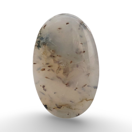 عقيق الشجري يماني

 Shajri Yemeni Aqeeq 4.28 gram